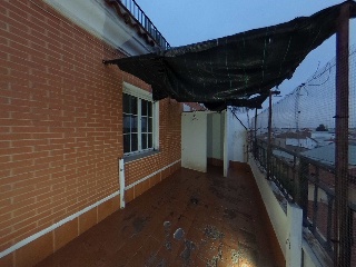 Campo 8