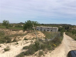 Suelo rústico con naves en Partida Mixonas 8