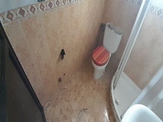 Piso en  C/ Abedul, Sevilla 7