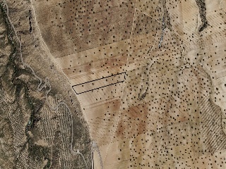 Suelo rústico en Ptda. Cortijo Olivares, Guadix (Granada) 3