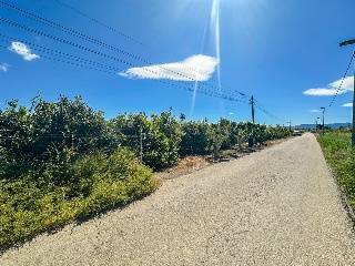 Solar en El Raal 2