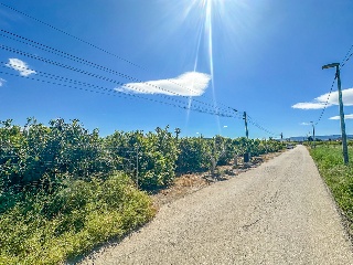 Solar en El Raal 5