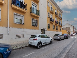 Alpajes - Aranjuez - 15