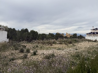 Pisos banco Molina de Segura