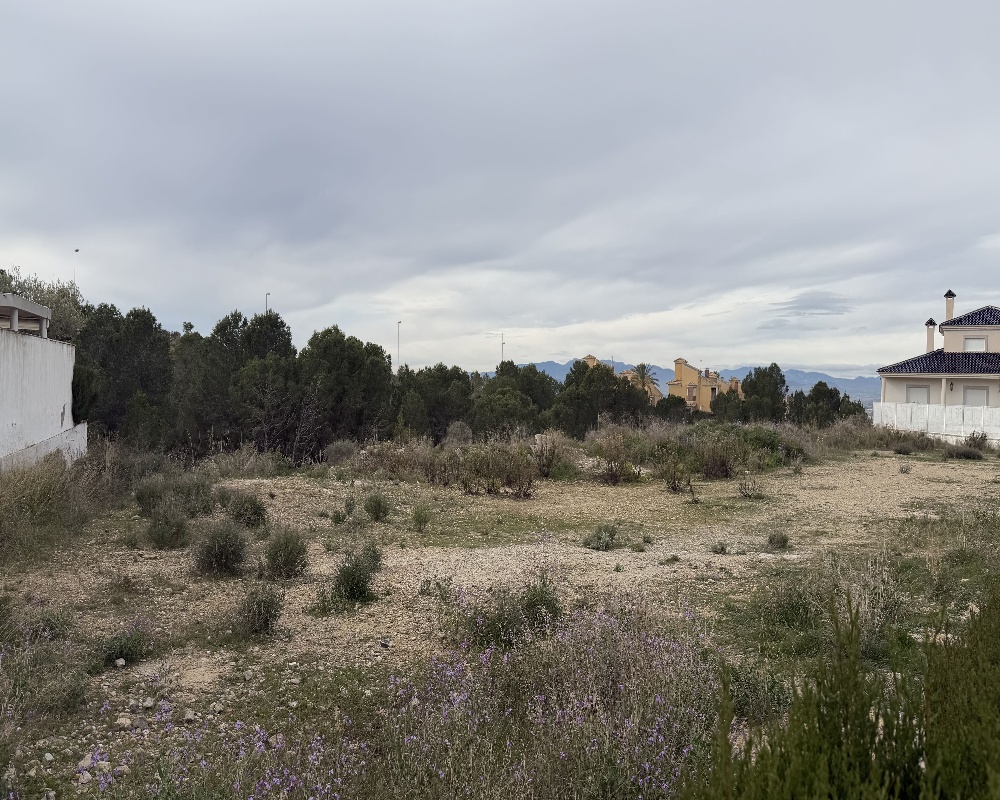 Suelo urbano en Molina de Segura