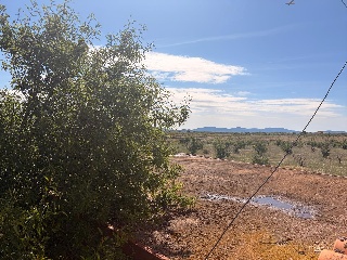 Suelo en Pt Quitapellejos - Yecla - 31