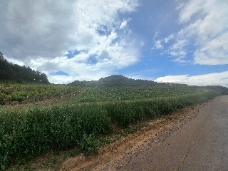 Suelos en Lardero - La Rioja - 29