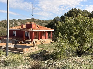 Finca rústica con edificación en Paraje Altos de Caudete 8