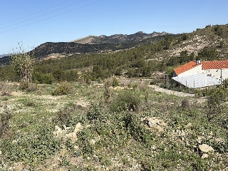 Finca rústica con edificación en Paraje Altos de Caudete 9