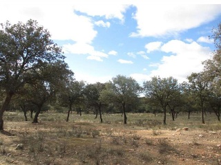 Paraje Las Hoyas Poligono 44 6