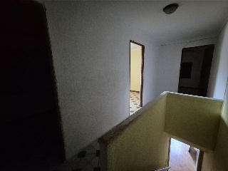 Calle Paloma 16