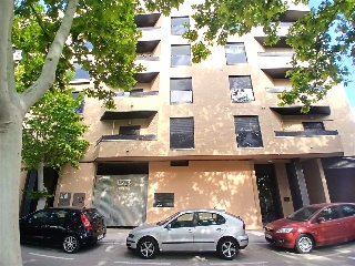 Ayora 12