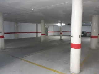 Ayora 17