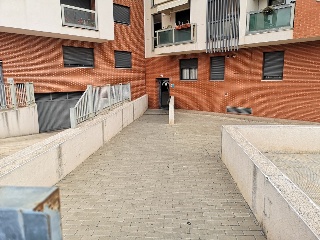 Ramon Y Cajal 8