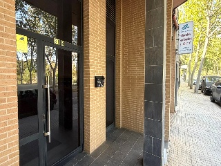 Ayora 13