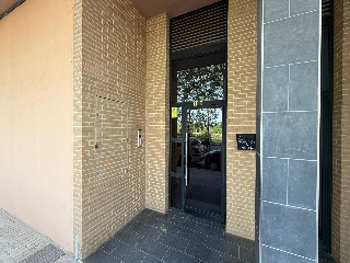 Ayora 14