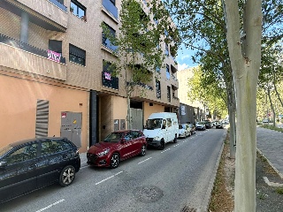 Ayora 16