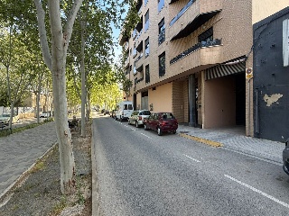 Ayora 17