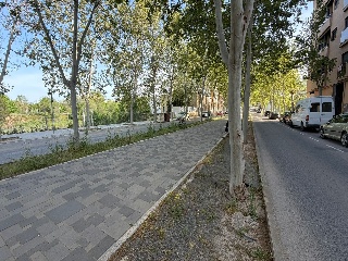 Ayora 18