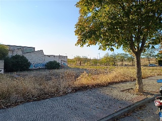 Burgos 19