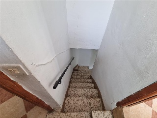 Tejar Bajo 20