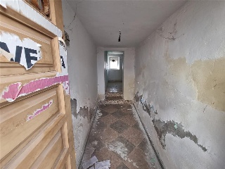 Tejar Bajo 21