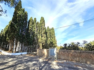 Partida Safarechot 18