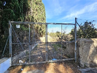 Partida Safarechot 21