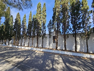 Partida Safarechot 25