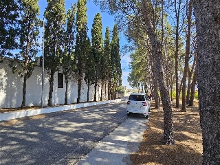 Partida Safarechot 26