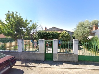 Mirlo 5