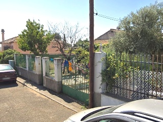 Mirlo 6