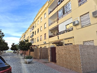 Ciruelo 4