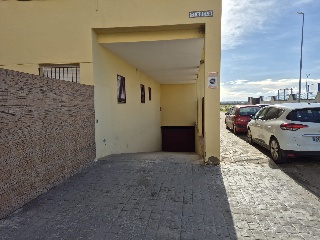 Ciruelo 5