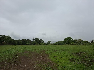 DEL COTARON 12