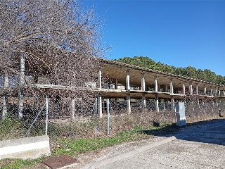 LG PAU-6  GRANJA GIRONA 19