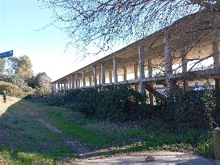 LG PAU-6  GRANJA GIRONA 23