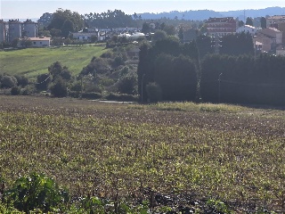 12.Parcela 18