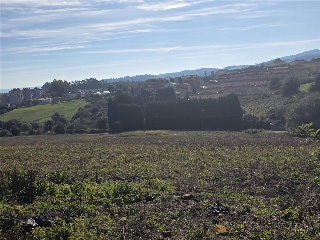 12.Parcela 20