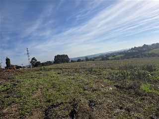 12.Parcela 21