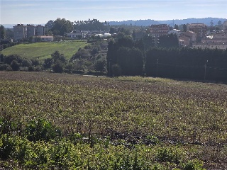 12.Parcela 23