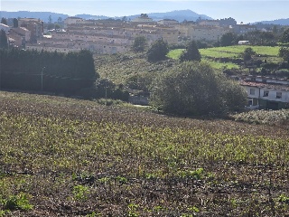 12.Parcela 24