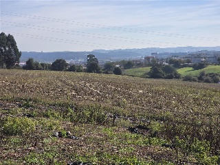 12.Parcela 25
