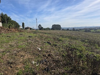 12.Parcela 26