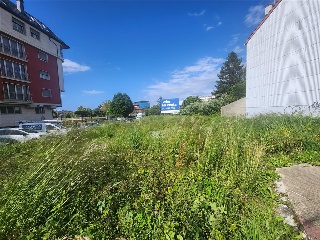SOUTO VIZOSO 19