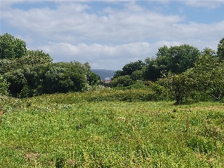 SOUTO SAN PEDRO 19