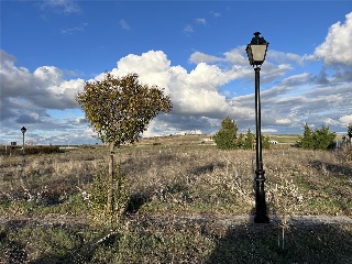 SAN ROQUE 5
