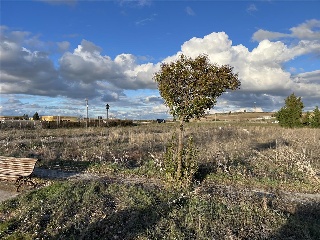 SAN ROQUE 6