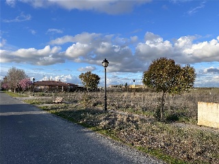 SAN ROQUE 7
