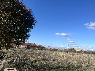 SAN ROQUE 8